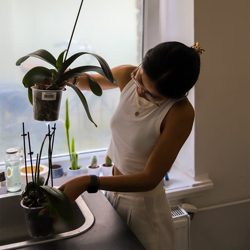Nurturing green life